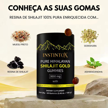 Gomas de Shilajit Puro dos Himalaias